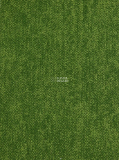 Haima Coral 30 фото 1 | FLOORDEALER